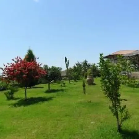 Lägenhet Wohnheim Heaven 51r By Interhome *